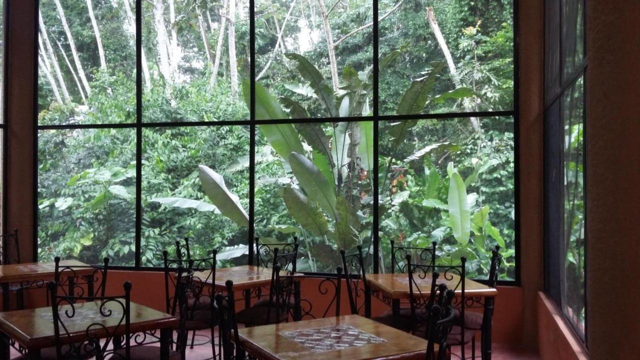 Canto De La Selva Jungle Lodge Selva Lacandona Chiapas Galaxia Exterior photo